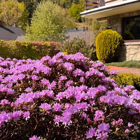 Hébergement de vacances Gorska 72 Dom Pod Stokiem