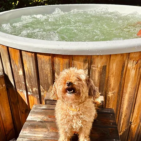 Gorska 72 Dom Pod Stokiem Szczyrk