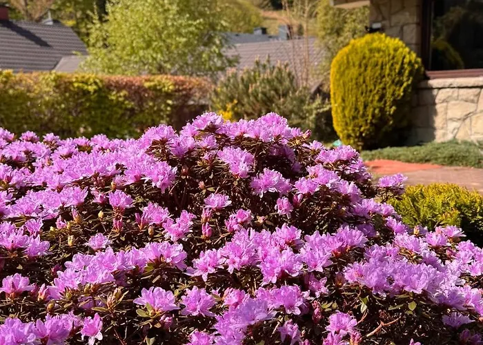 Ferienhaus Gorska 72 Dom Pod Stokiem