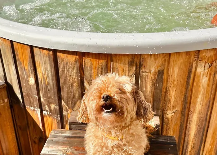 Gorska 72 Dom Pod Stokiem Szczyrk